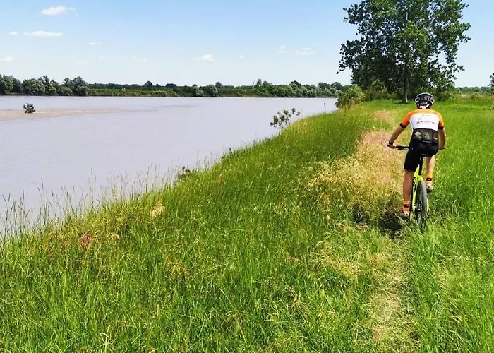 ゲストハウス Tlcafe Hospitality 3*