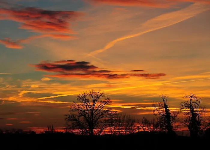 Tlcafe Hospitality 3*