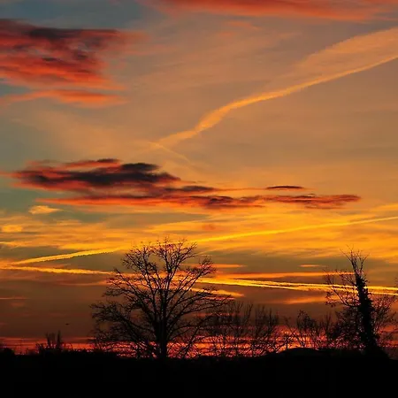 Tlcafe Hospitality 3*