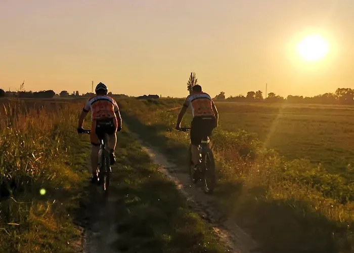 Gasthuis Tlcafe Hospitality